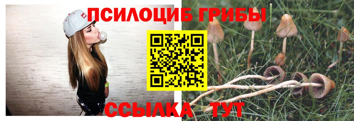 Галлюциногенные грибы MAGIC MUSHROOMS  Вход с VPN  как найти наркотики  Нефтеюганск 